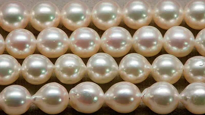 Pearl Color 1 1 1